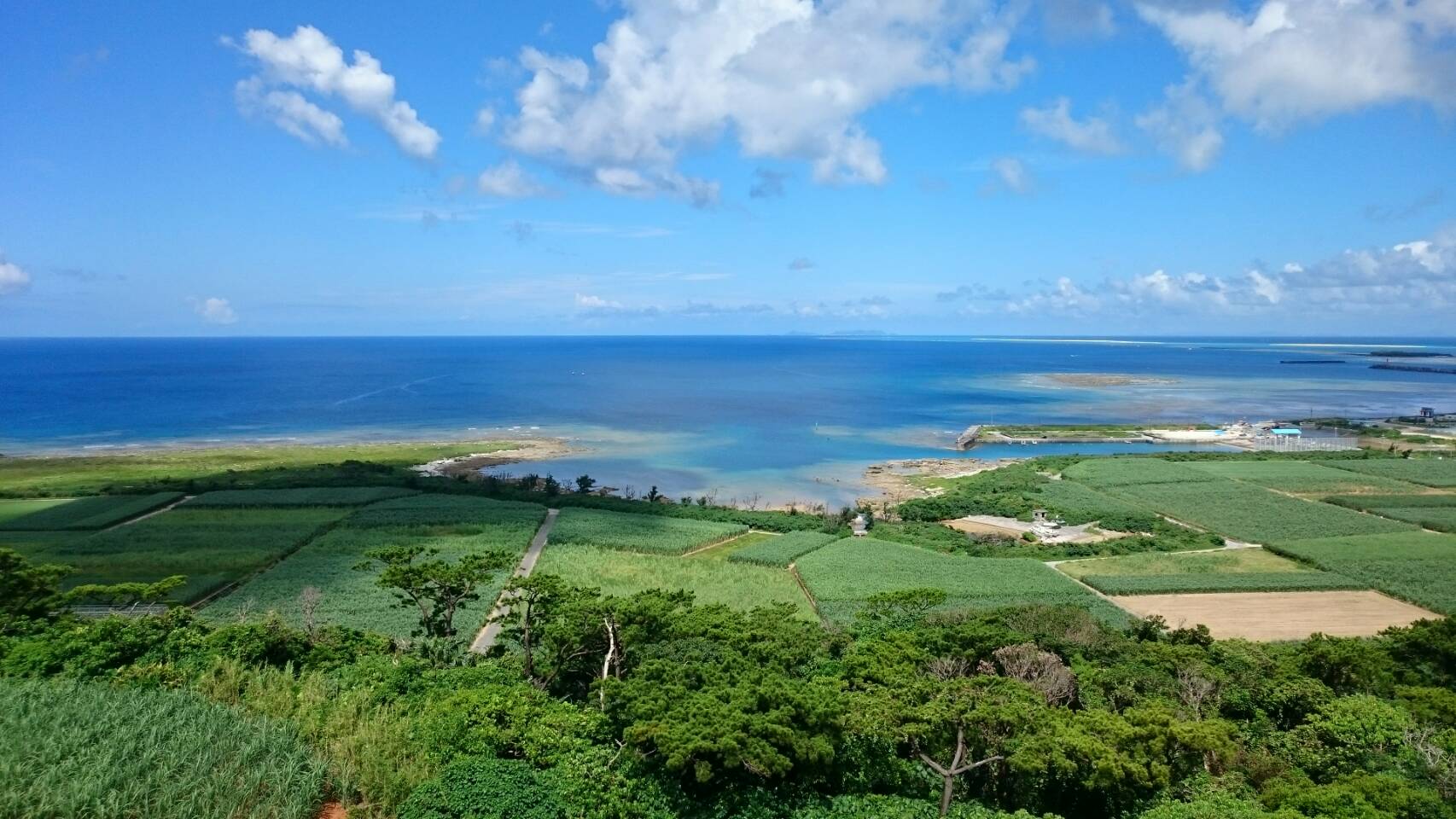 展望台から見える景色