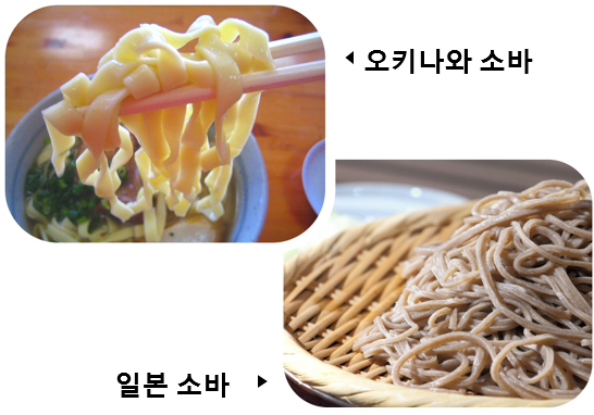 Noodle-types-ko-1